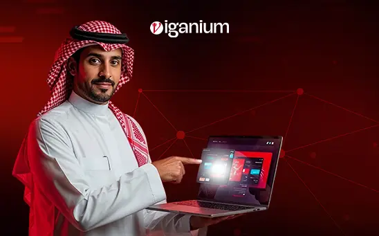 Custom Software Development